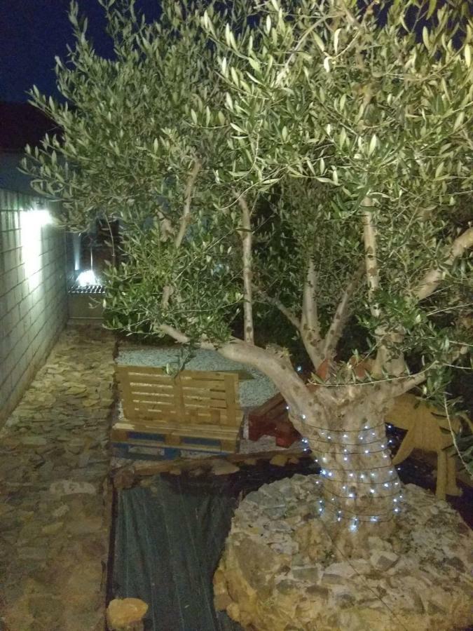 El Olivar Caceres Bagian luar foto